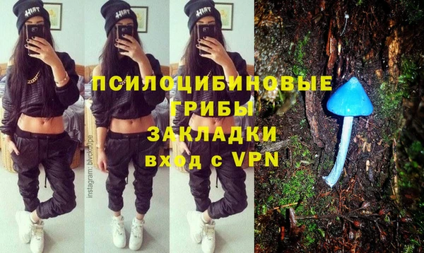 гашик Алексеевка