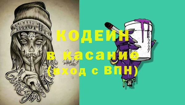 гашик Алексеевка