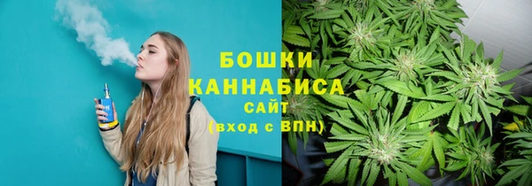 гашик Алексеевка