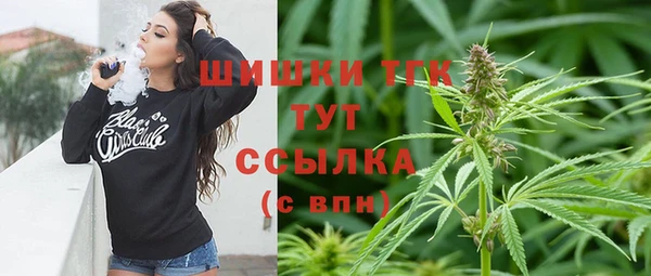 гашик Алексеевка