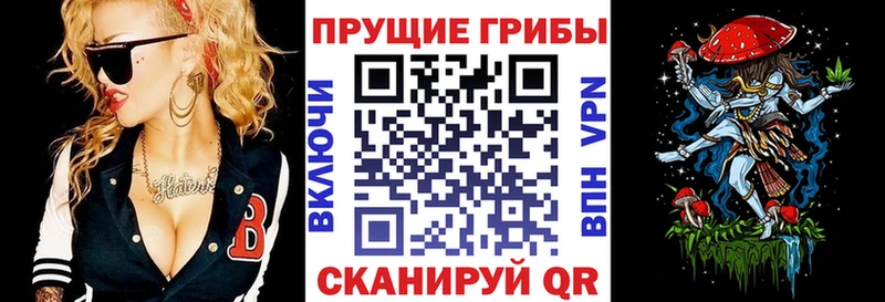 Галлюциногенные грибы ЛСД где купить наркоту omg ТОР Нижнеудинск